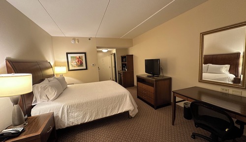 Room, 1 King Bed, Non Smoking, Jetted Tub