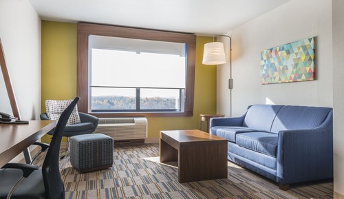 Suite, 1 King Bed with Sofa bed