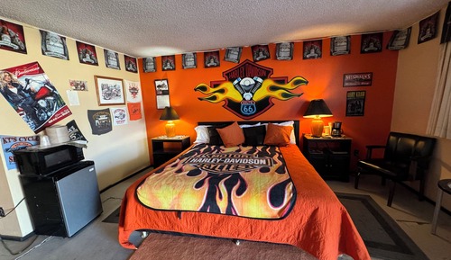 Room, 1 King Bed, Smoking