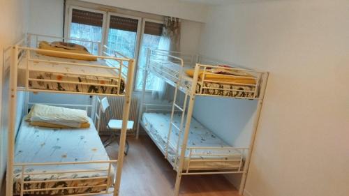 Bunk Bed in Mixed Dormitory Room