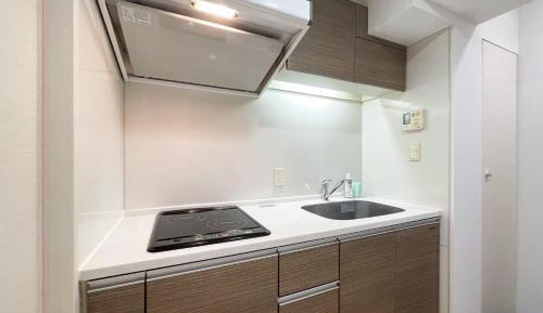 One-Bedroom Apartment with Balcony
