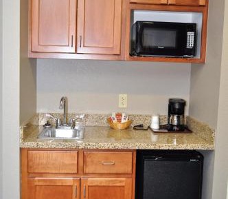 1 King Bed, Pet Friendly, Studio Premier Suite, Non-Smoking