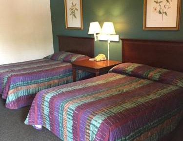 Double Room with Two Double Beds