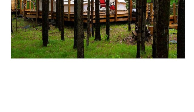 Experience Glamorous Camping in the Woods at Hillcrest